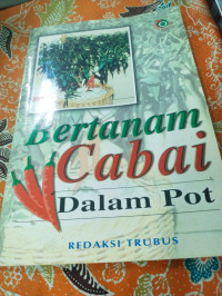 Bertanam Cabai Dalam Pot