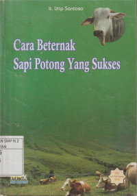 Cara Beternak Sapi Potong Yang Sukses
