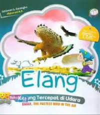 ELANG BURUNG TERCEPAT DI UDARA