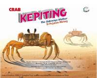 Kepiting si pejalan miring